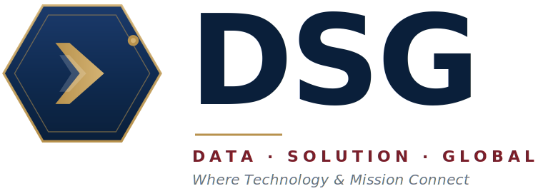 Data Solution Global logo